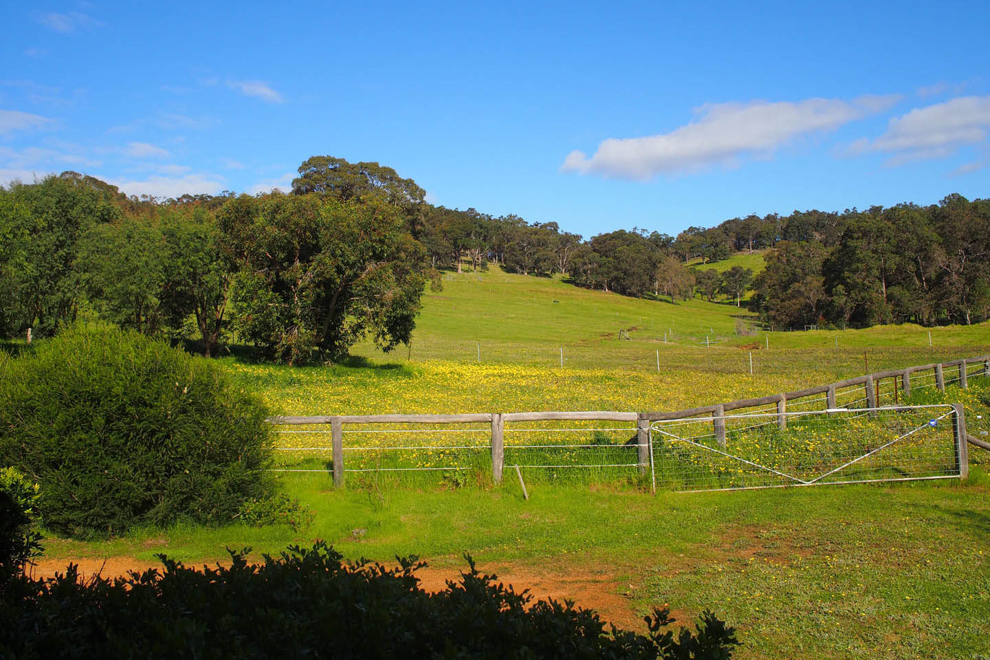 view of hills at henty lodge ferguson valley